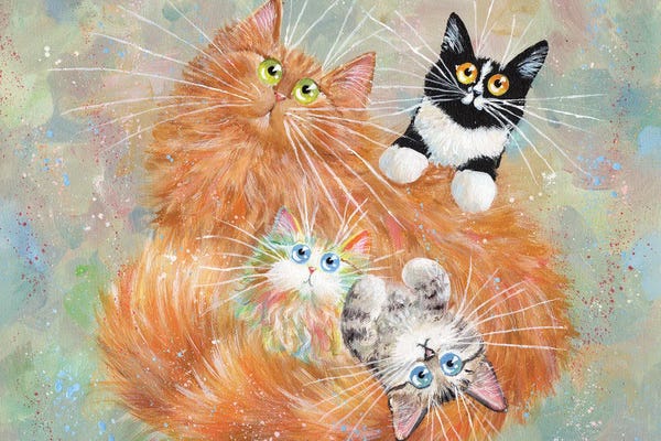 Orange Cats: Diego and Kittens by Kim Haskins