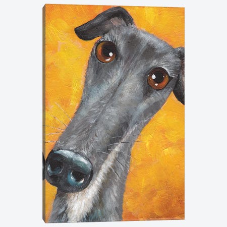Lucky The Greyhound Canvas Print #KIH209} by Kim Haskins Canvas Art