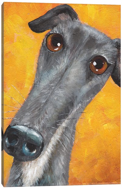 Lucky The Greyhound Canvas Art Print - Kim Haskins