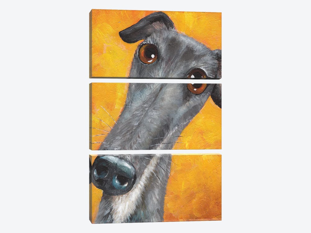 Lucky The Greyhound by Kim Haskins 3-piece Canvas Artwork