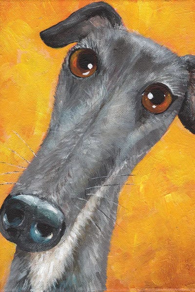 Greyhounds: Lucky The Greyhound by Kim Haskins