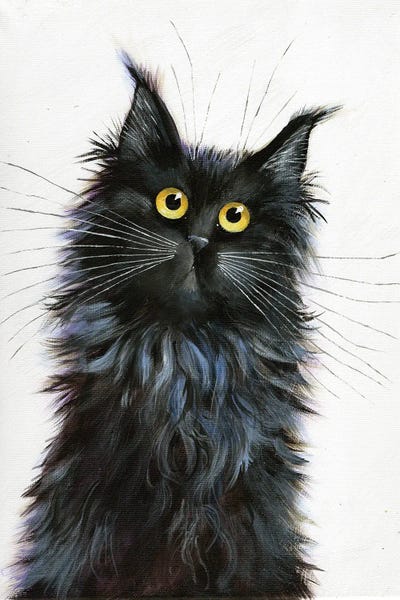 Black Cats: Ozzie by Kim Haskins