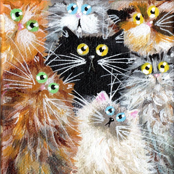 Cats: Mini Seven by Kim Haskins