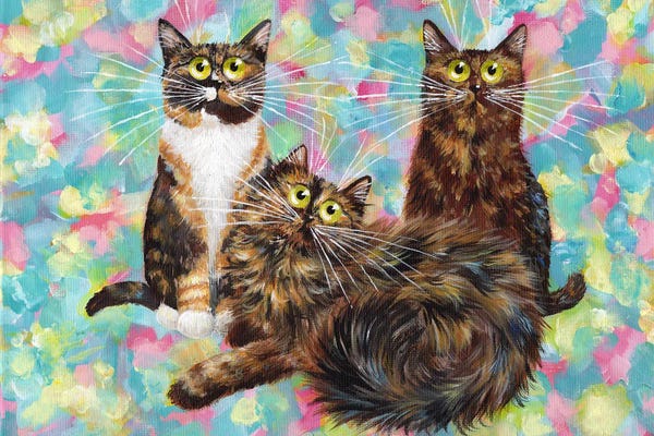 Tabbies: Patchy Pixie Fluffy by Kim Haskins