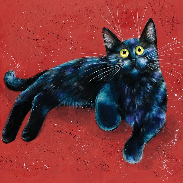 Black Cats: Alfie by Kim Haskins