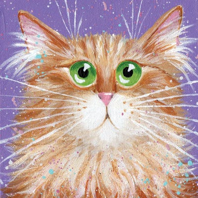 Rupert by Kim Haskins framed canvas print