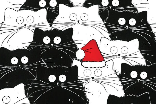 Christmas Animals: Secret Santa by Kim Haskins