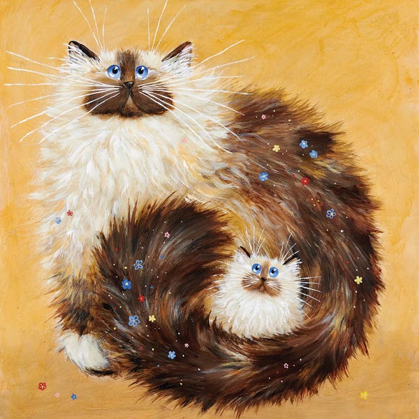 Kim Haskins: Forget Me Knots by Kim Haskins