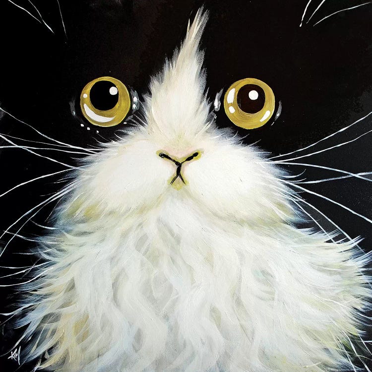 Gatoula by Kim Haskins wall art