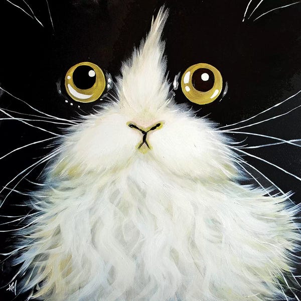 Tuxedo Cats: Gatoula by Kim Haskins