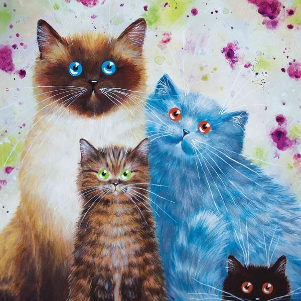 Cats: Harry William Coco And Penny by Kim Haskins