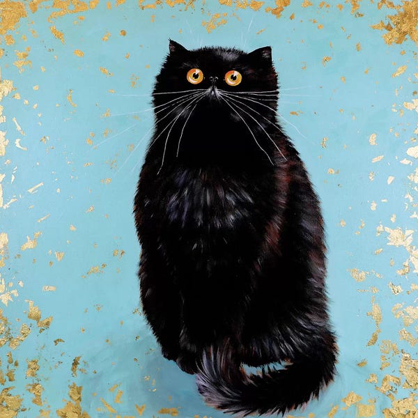 Black Cats: Hendricks by Kim Haskins