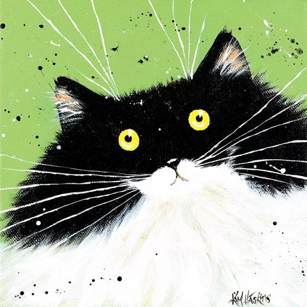 Tuxedo Cats: How Are You by Kim Haskins