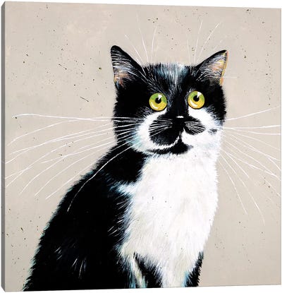 Micheles Bailey Canvas Art Print - Tuxedo Cat Art