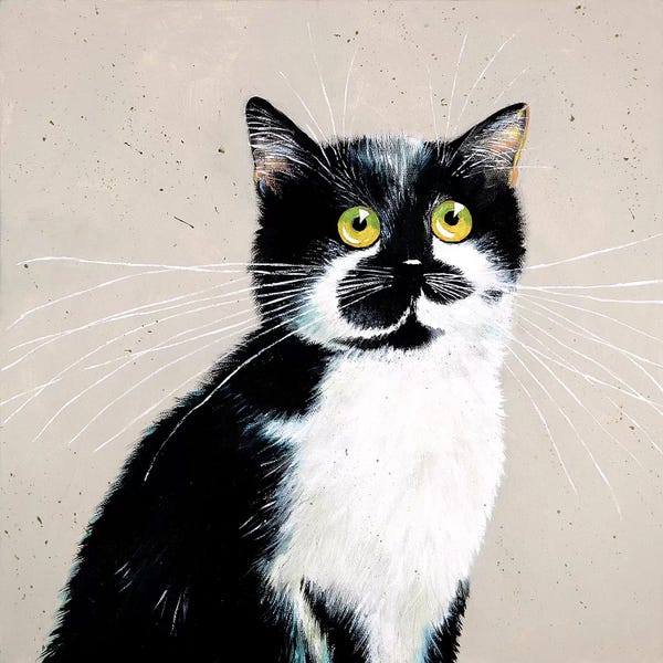 Tuxedo Cats: Micheles Bailey by Kim Haskins
