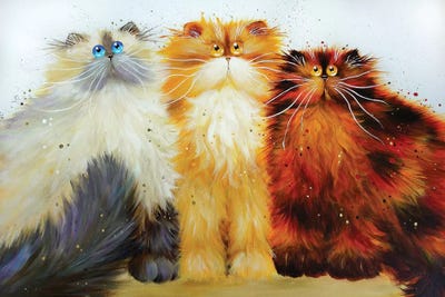 Miss Freeway Carwash And Parsley by Kim Haskins framed canvas print