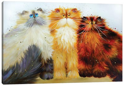 Miss Freeway Carwash And Parsley Canvas Art Print - Cat Art