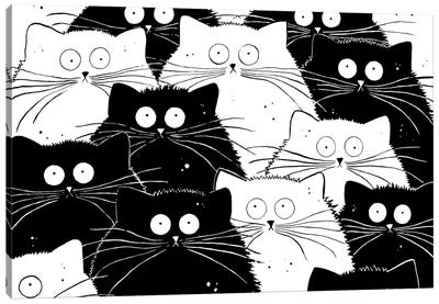 Big Flash Mog Canvas Art Print - Black Cat Art