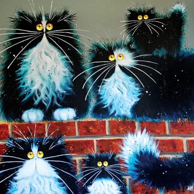 Wall For Cats by Kim Haskins metal wall art