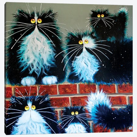 Wall For Cats Canvas Print #KIH61} by Kim Haskins Canvas Wall Art