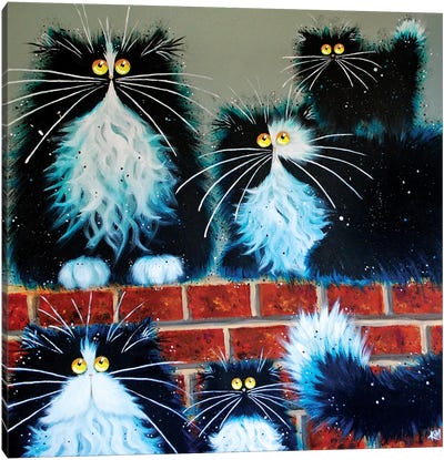 Wall For Cats Canvas Art Print - Tuxedo Cat Art