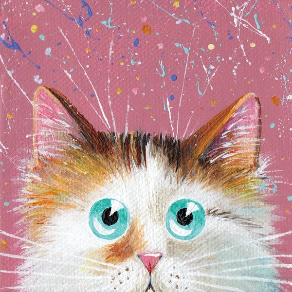 Peeping Tortie On Splattered Pink