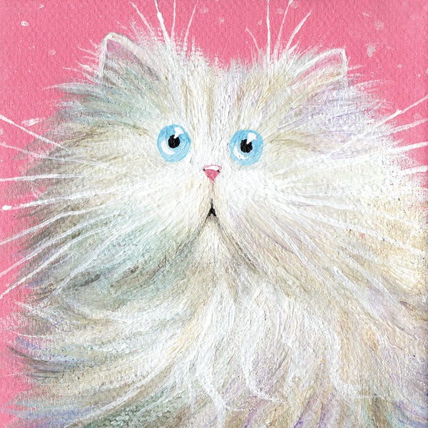 Kim Haskins: White Persian by Kim Haskins