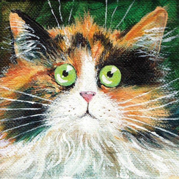 Cats: Fluffy Indie by Kim Haskins