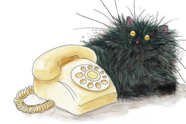 Call Me Cat