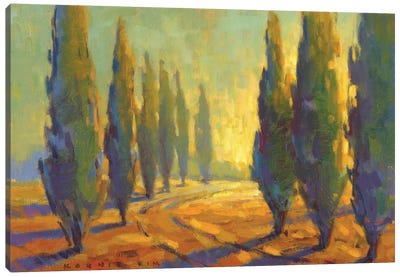 Cypress Sunset Canvas Art Print - Cypress Tree Art