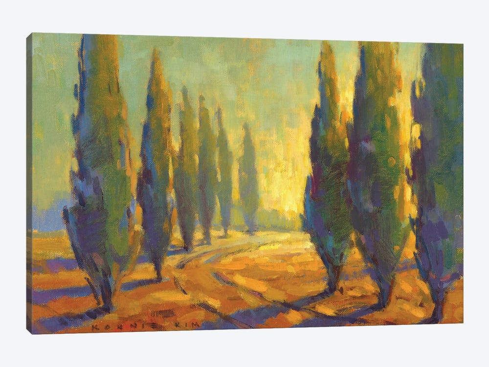 Cypress Sunset by Konnie Kim 1-piece Canvas Print