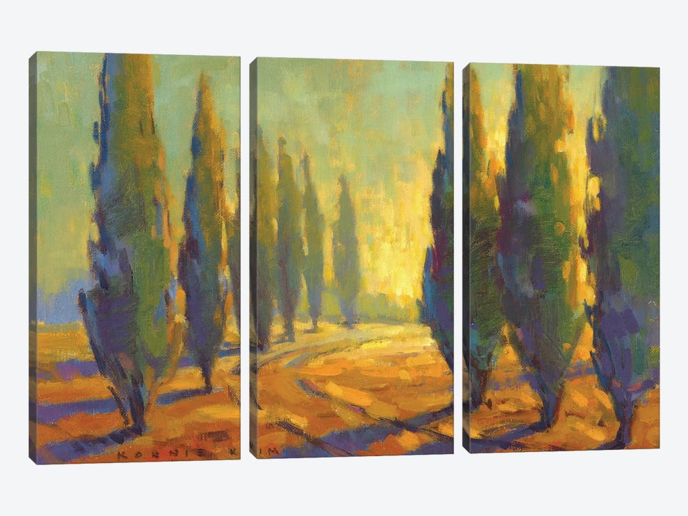 Cypress Sunset by Konnie Kim 3-piece Canvas Print