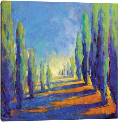 Colors Of Summer VIII Canvas Art Print - Cypress Tree Art