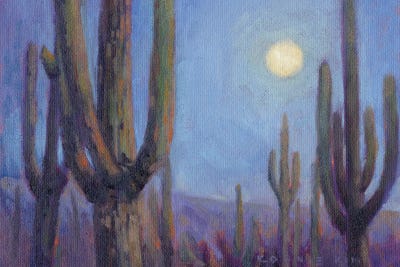 Moonlit Saguaros by Konnie Kim canvas print