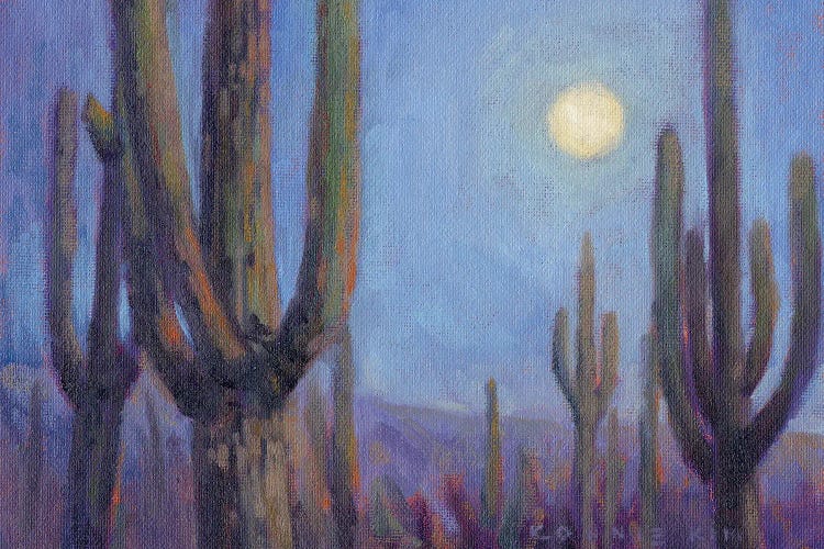 Moonlit Saguaros