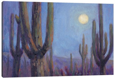 Moonlit Saguaros Canvas Art Print - Konnie Kim