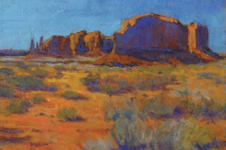 Navajoland by Konnie Kim wall art