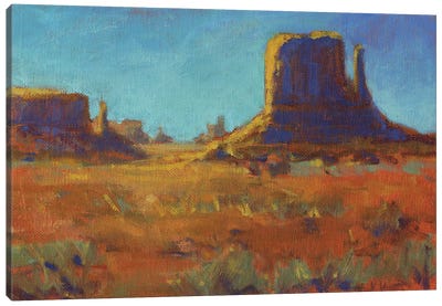 Navajo Nation Canvas Art Print - New Mexico Art