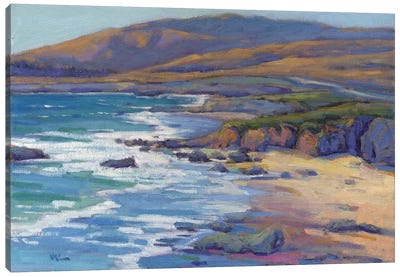 Coastal Cruising VIII Canvas Art Print - Rocky Beach Art