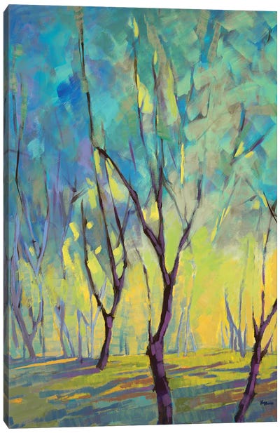 Colors Of Spring Viii Canvas Art Print - Konnie Kim