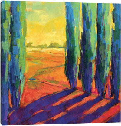 Colors Of Summer III Canvas Art Print - Cypress Tree Art
