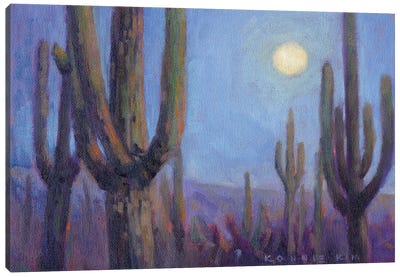 Moonlight Saguaros Canvas Art Print - Konnie Kim
