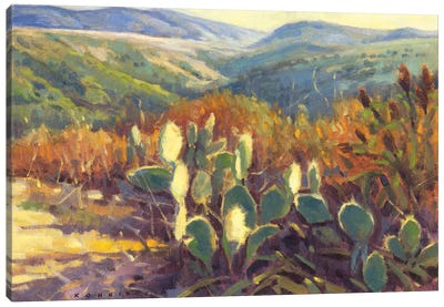 Spring Trail Canvas Art Print - Konnie Kim