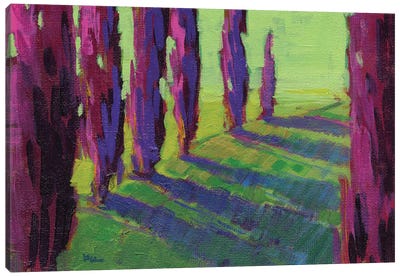 Colors Of Summer I Canvas Art Print - Cypress Tree Art