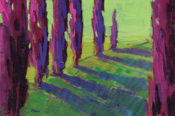 Cypress Trees: Colors Of Summer I by Konnie Kim