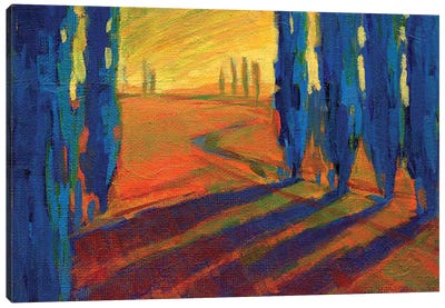 Colors Of Summer II Canvas Art Print - Cypress Tree Art
