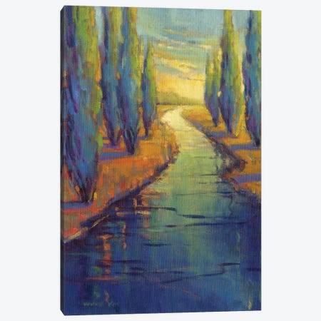 Cypress Reflecton Canvas Print #KIK63} by Konnie Kim Canvas Art Print