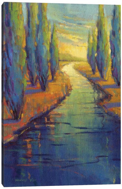 Cypress Reflecton Canvas Art Print - Konnie Kim