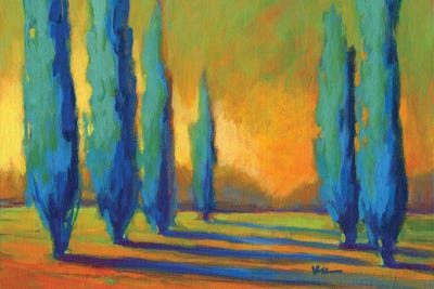 Cypress Road V by Konnie Kim canvas print