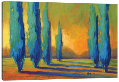 Cypress Road V Canvas Art Print - Cypress Tree Art